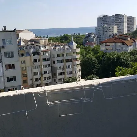 Стая 