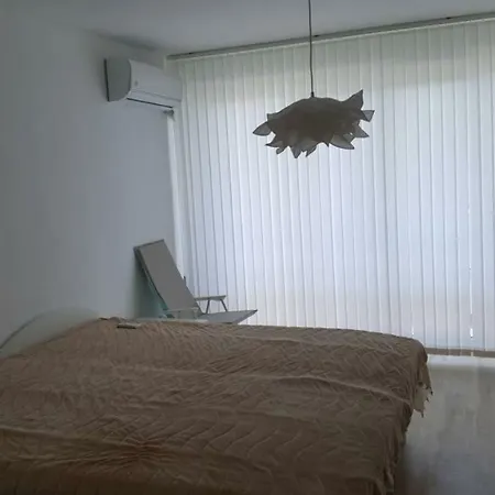 Стая 